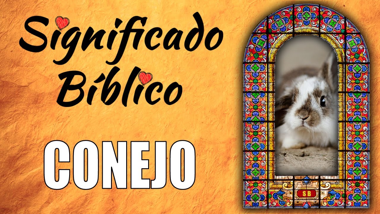 El simbolismo del conejo en la Biblia: significado y enseñanzas