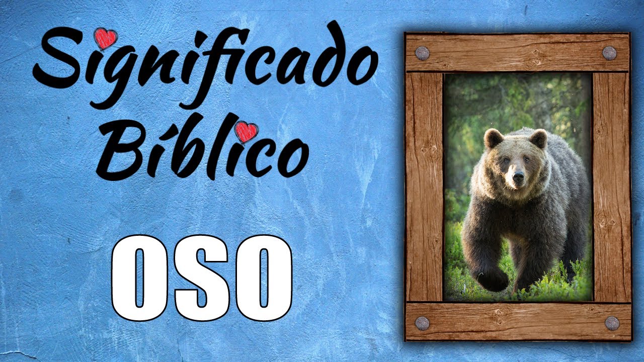 El simbolismo del oso en la Biblia y su significado religioso