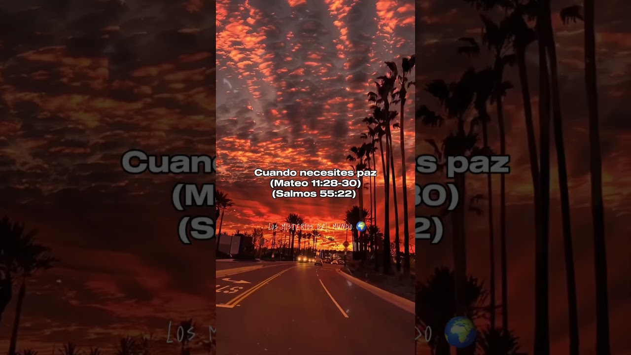 Encuentra los números de emergencia divinos en la Biblia