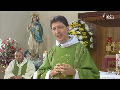 Enseñanza profunda en Mateo 15:21-28 - Biblia Católica