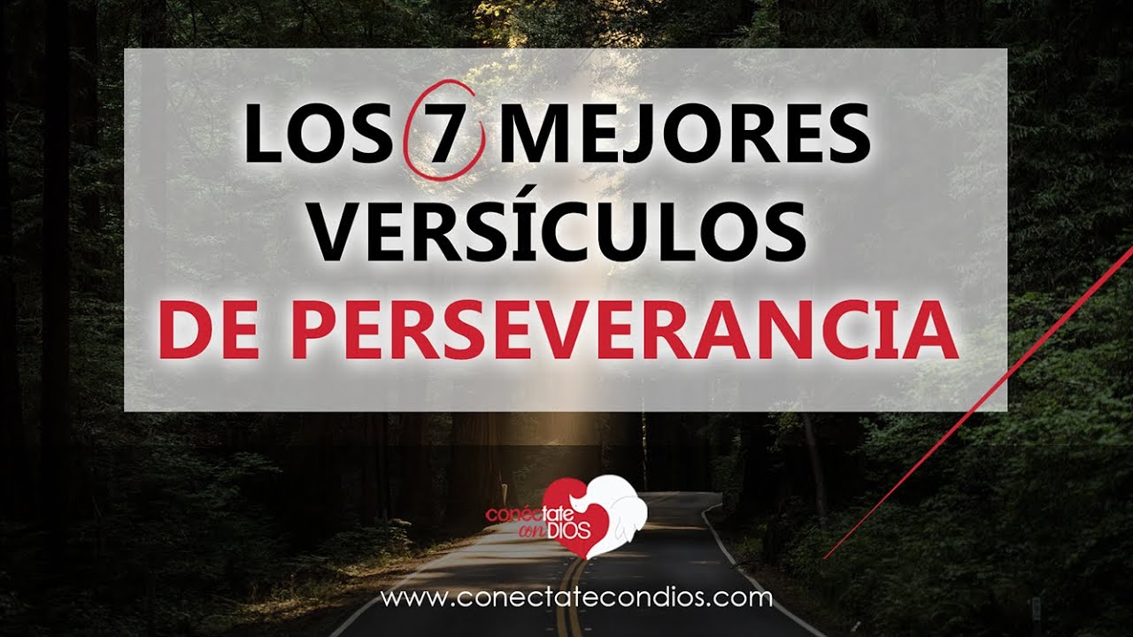 Perseverancia en la Biblia para fortalecer tu fe