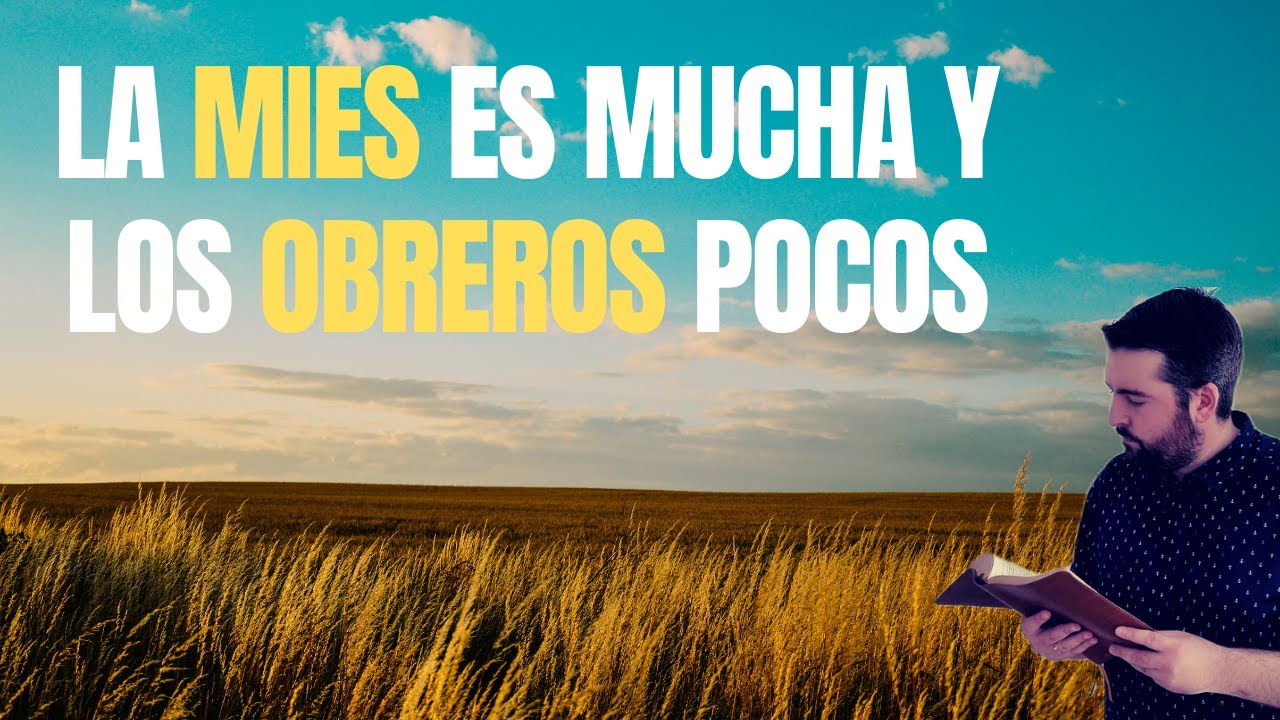 Pocos obreros mucha mies: evangelización en la Biblia