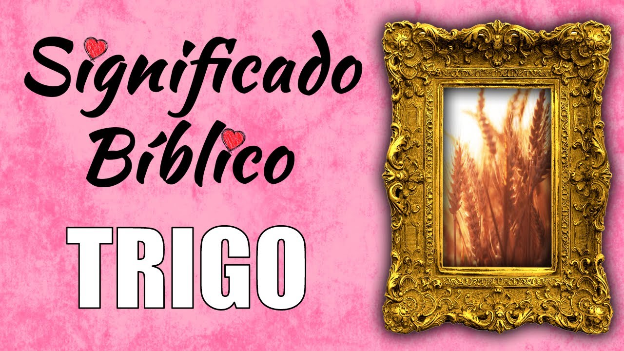 Significado bíblico de trigo vino y aceite en la religión cristiana