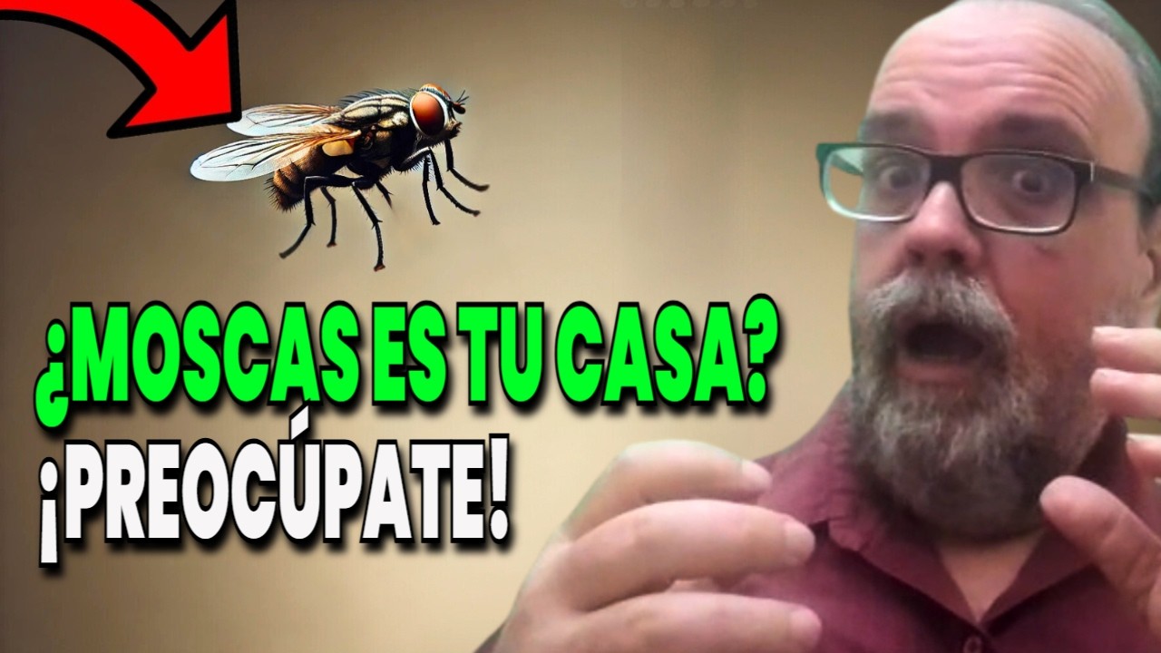 Significado espiritual de las moscas en la Biblia