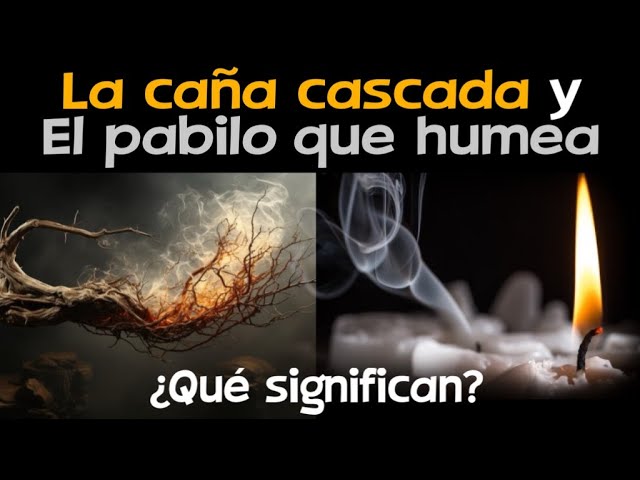 Simbología de la caña quebrada en Biblia y su significado espiritual