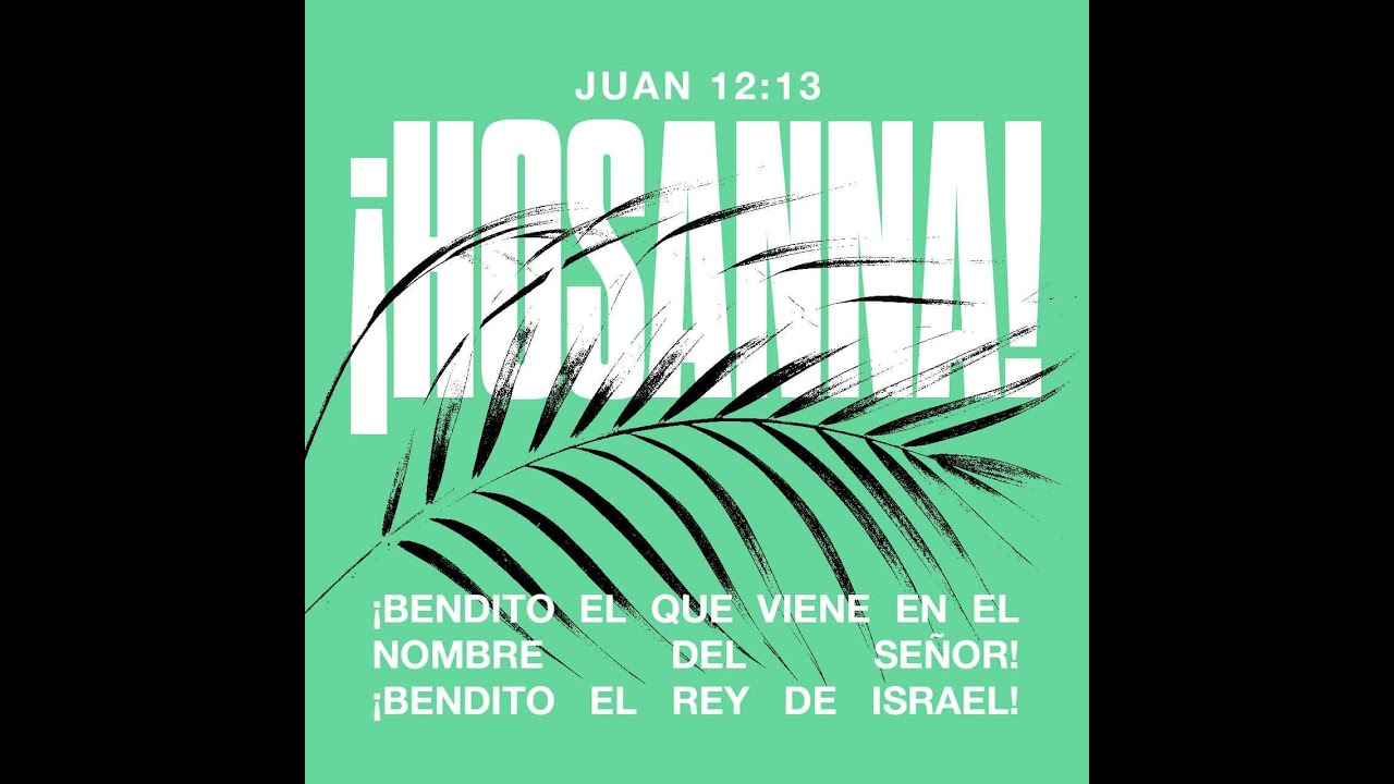 Descubre el significado profundo de las palabras de la Biblia