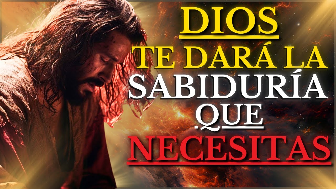 Descubre la sabiduría de la Biblia: mansa pero no mensa