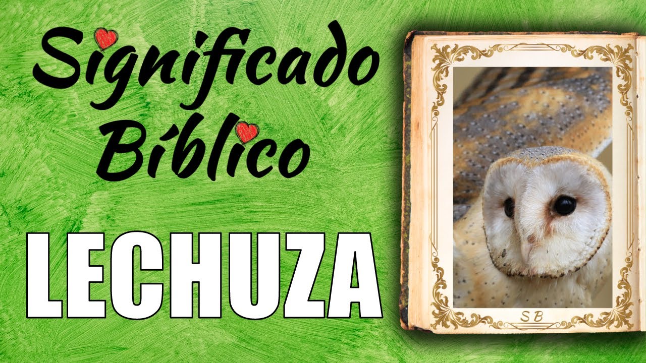 El simbolismo de la lechuza en la Biblia: significado y enseñanzas