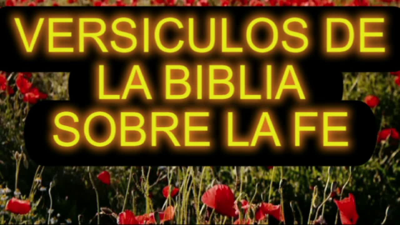 Fortalece tu fe con versículos de la Biblia católica