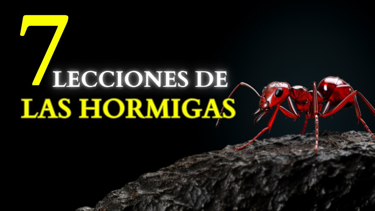 Hormiga: lección de trabajo y perseverancia según la Biblia