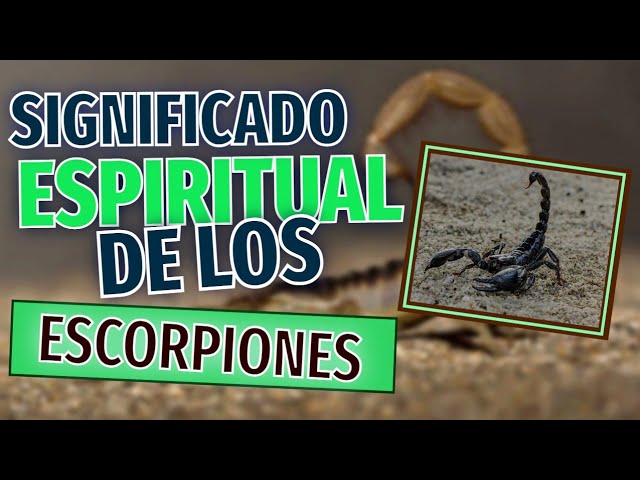 Significado de Dios no da alas a alacranes en la Biblia