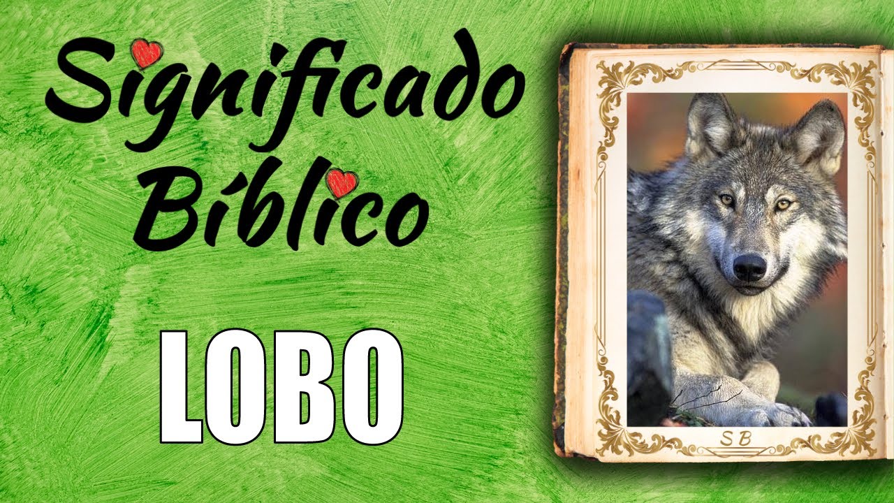 Significado del lobo en la Biblia: referencias bíblicas