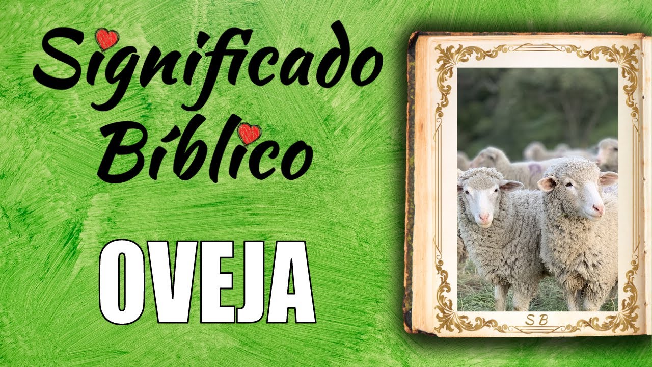 Cordero y oveja en la Biblia: Significado y simbolismo