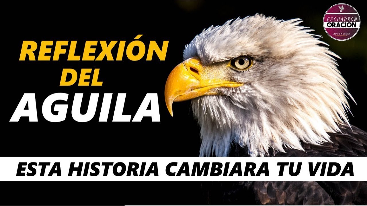 Descubre las virtudes del águila según la Biblia y fortalece tu fe