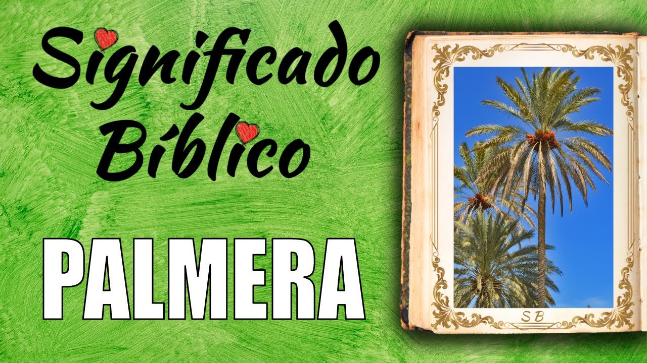 El simbolismo de la palma en la Biblia: significado y reflexiones