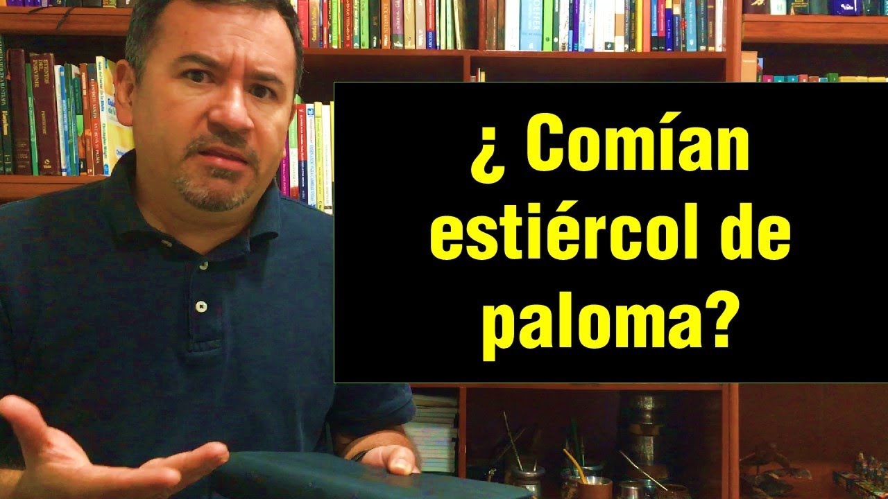 Estiércol de paloma en la Biblia: simbolismo y enseñanzas