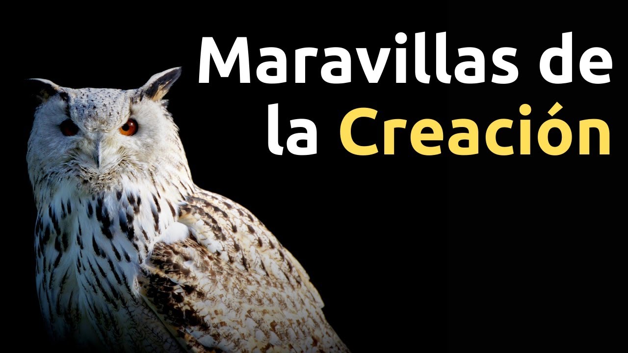 La belleza divina de la naturaleza en la Biblia