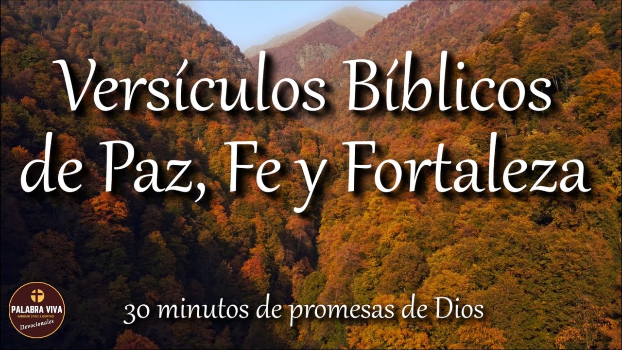 Palabras de aliento de la Biblia para fortalecer tu fe