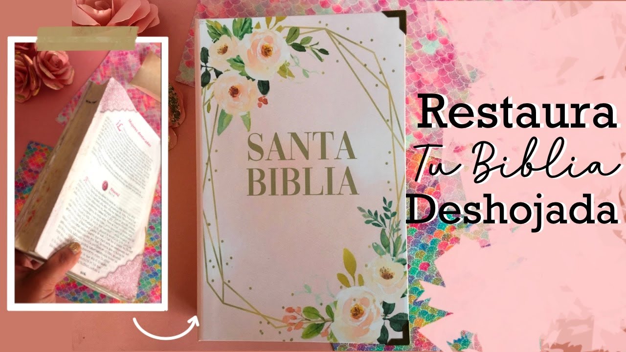 Protege tu Biblia con este tutorial paso a paso