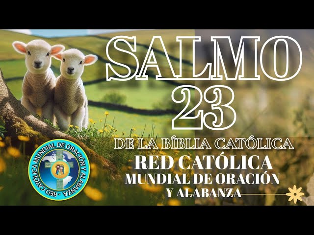 Salmos de la Biblia Católica para protección divina y espiritualidad