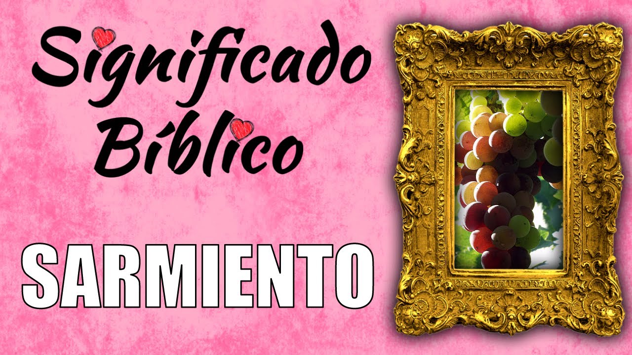Significado bíblico de sarmiento y su relevancia espiritual