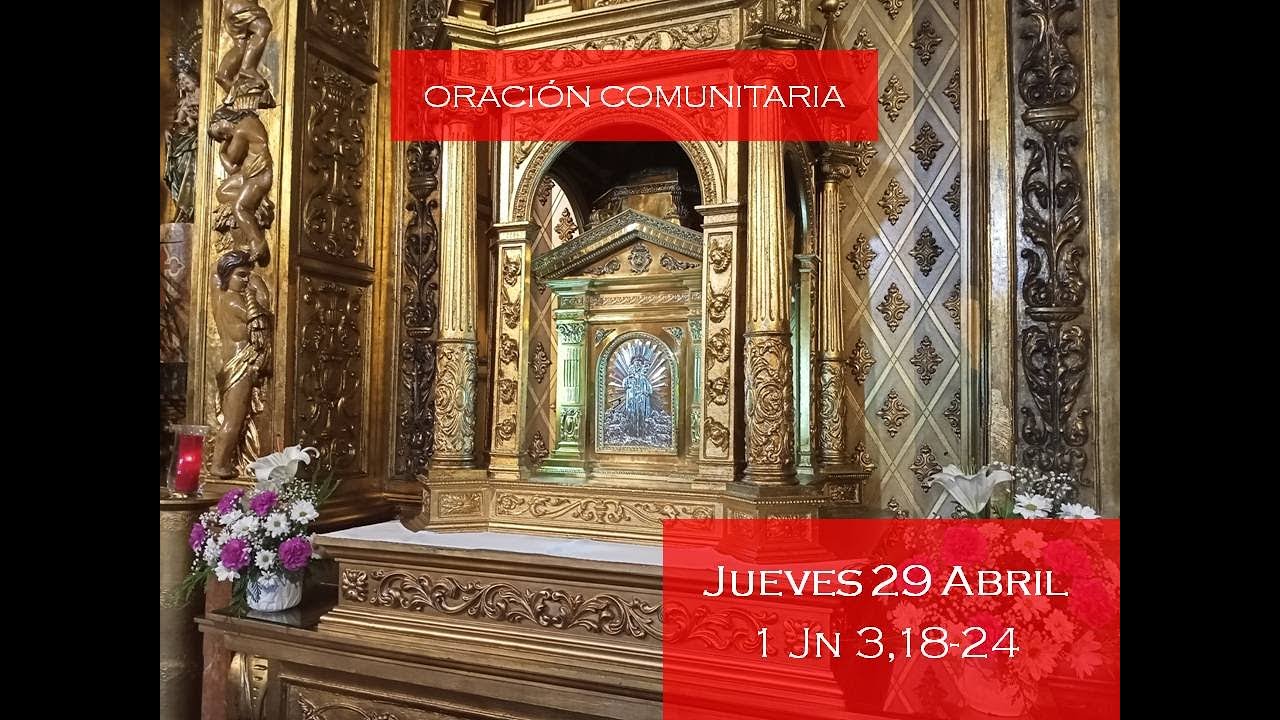 Vive el amor según 1 Juan 3:18-24 en la Biblia Católica