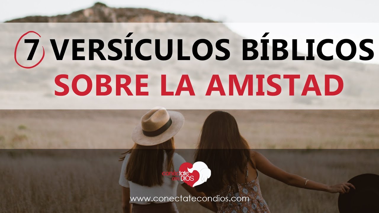 Amistad en la Biblia: Versículos y relaciones