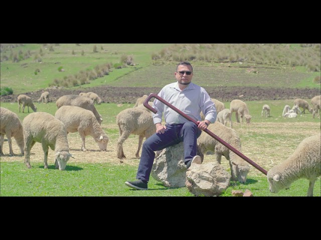 Cayado en la Biblia: poder y protección divina