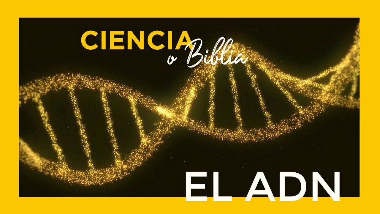 Descubre al creador de la Biblia y su mensaje divino