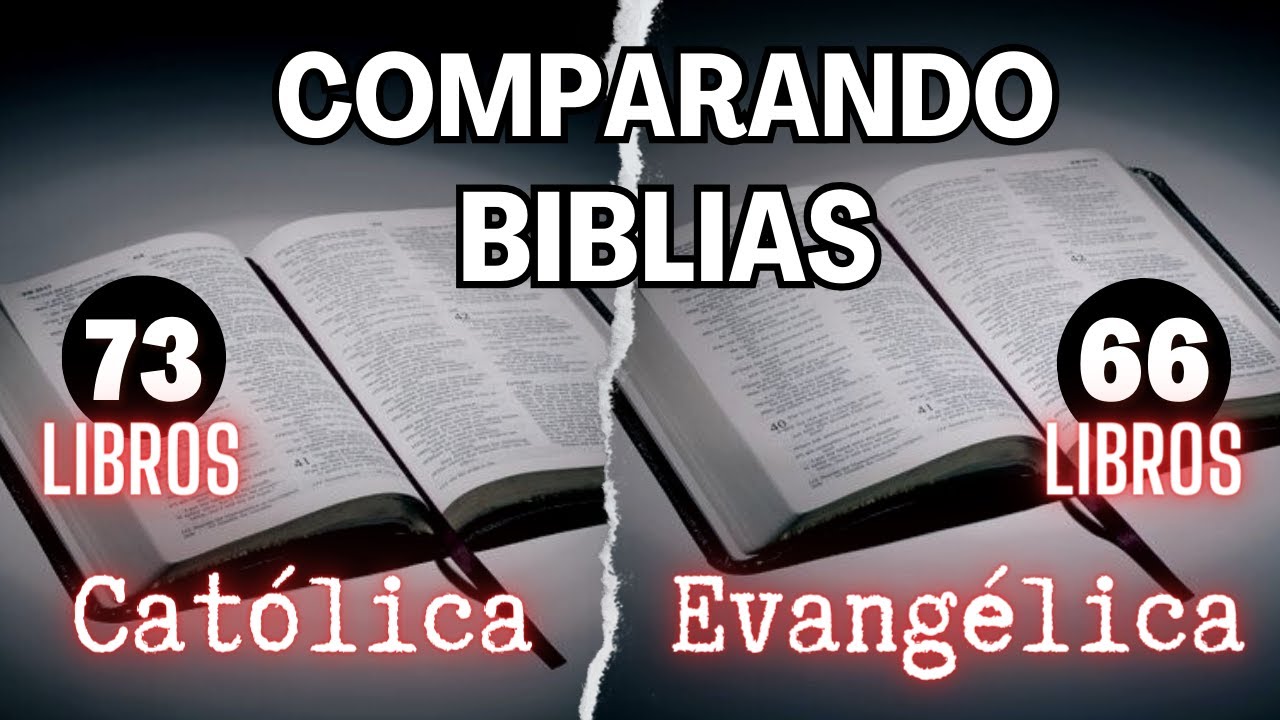 Descubre cómo reconocer la Biblia Católica: guía práctica y sencilla