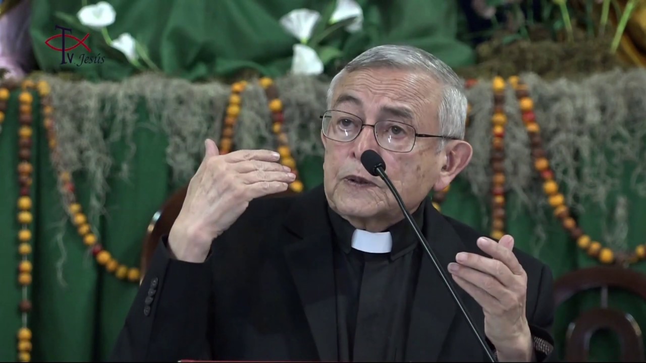 Descubre la devoción a María y la sabiduría de la Biblia Católica