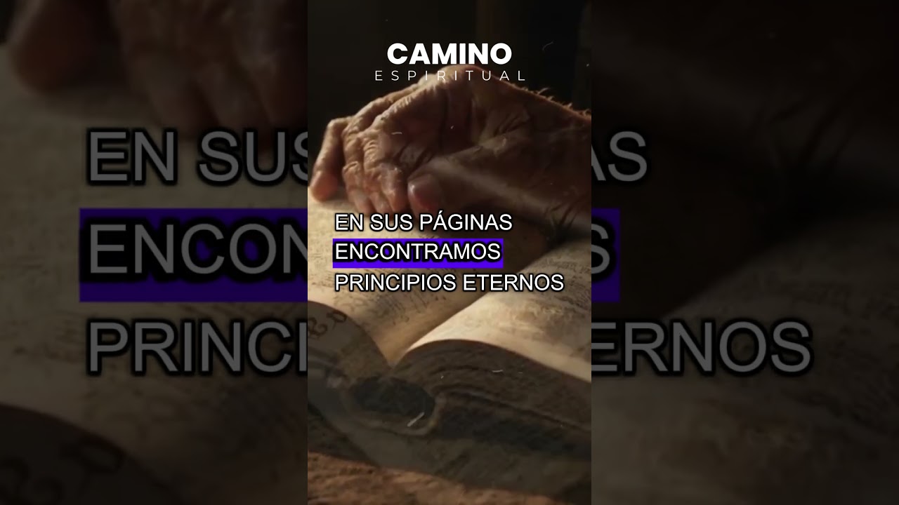 Descubre la sabiduría divina en nuestra biblioteca cristiana online