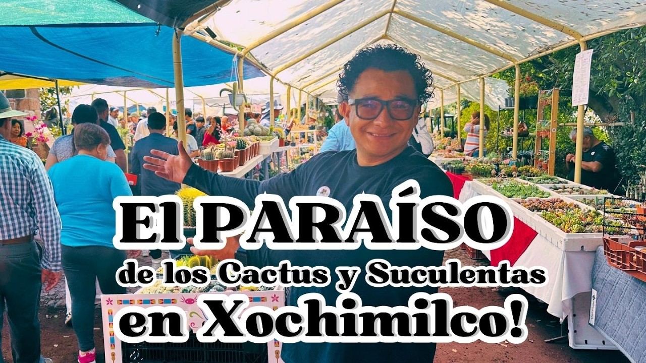 Descubre la sorprendente presencia de los cactus en la Biblia