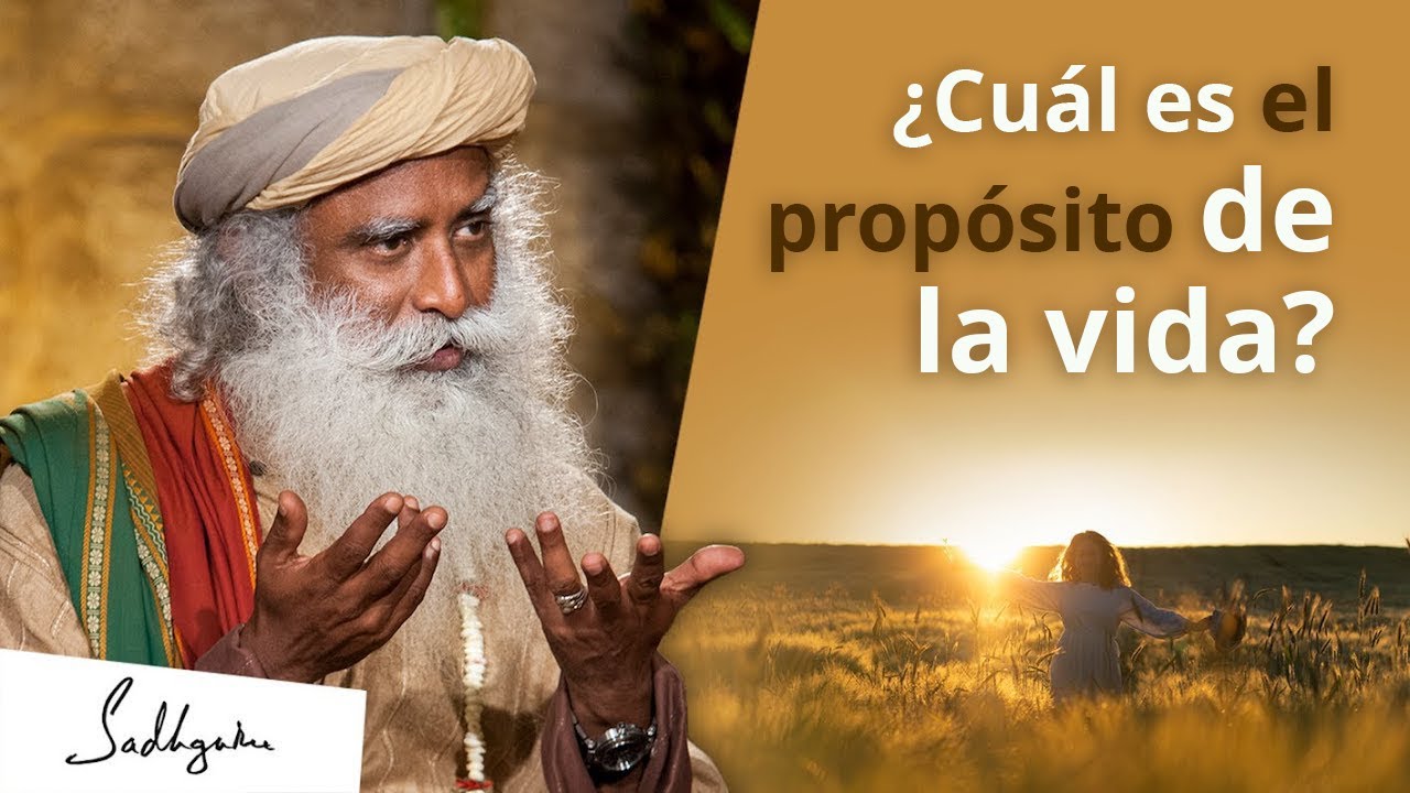 Descubre la verdadera definición de vida según la Biblia
