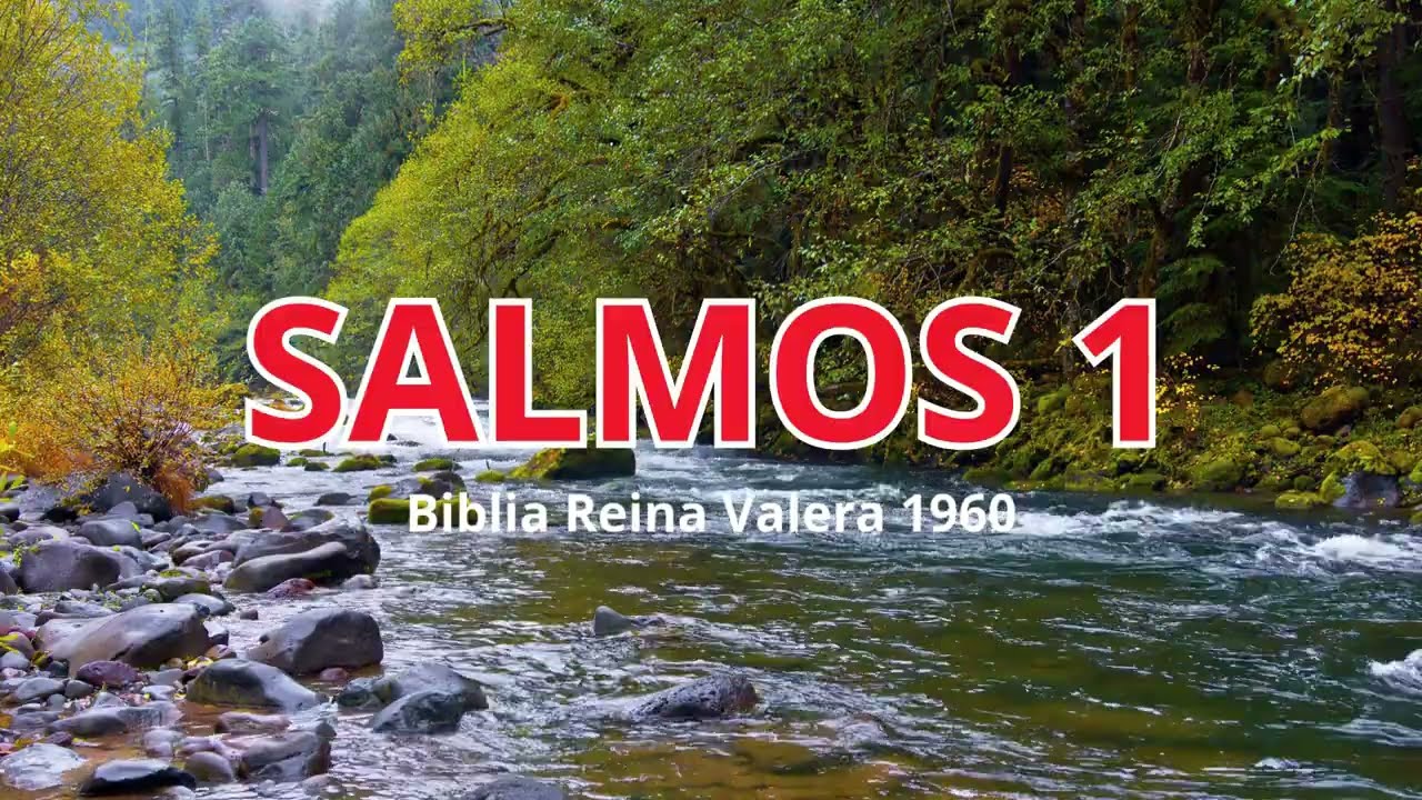 Descubre la verdadera felicidad según la Biblia