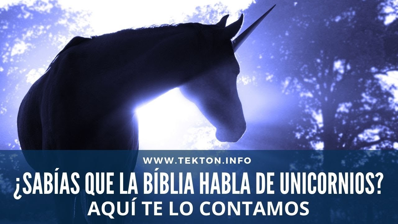 El simbolismo del unicornio en la Biblia: ¿Qué representa?