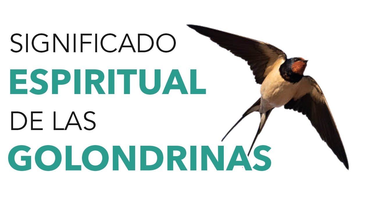 Golondrinas en la Biblia: simbolismo y reflexiones