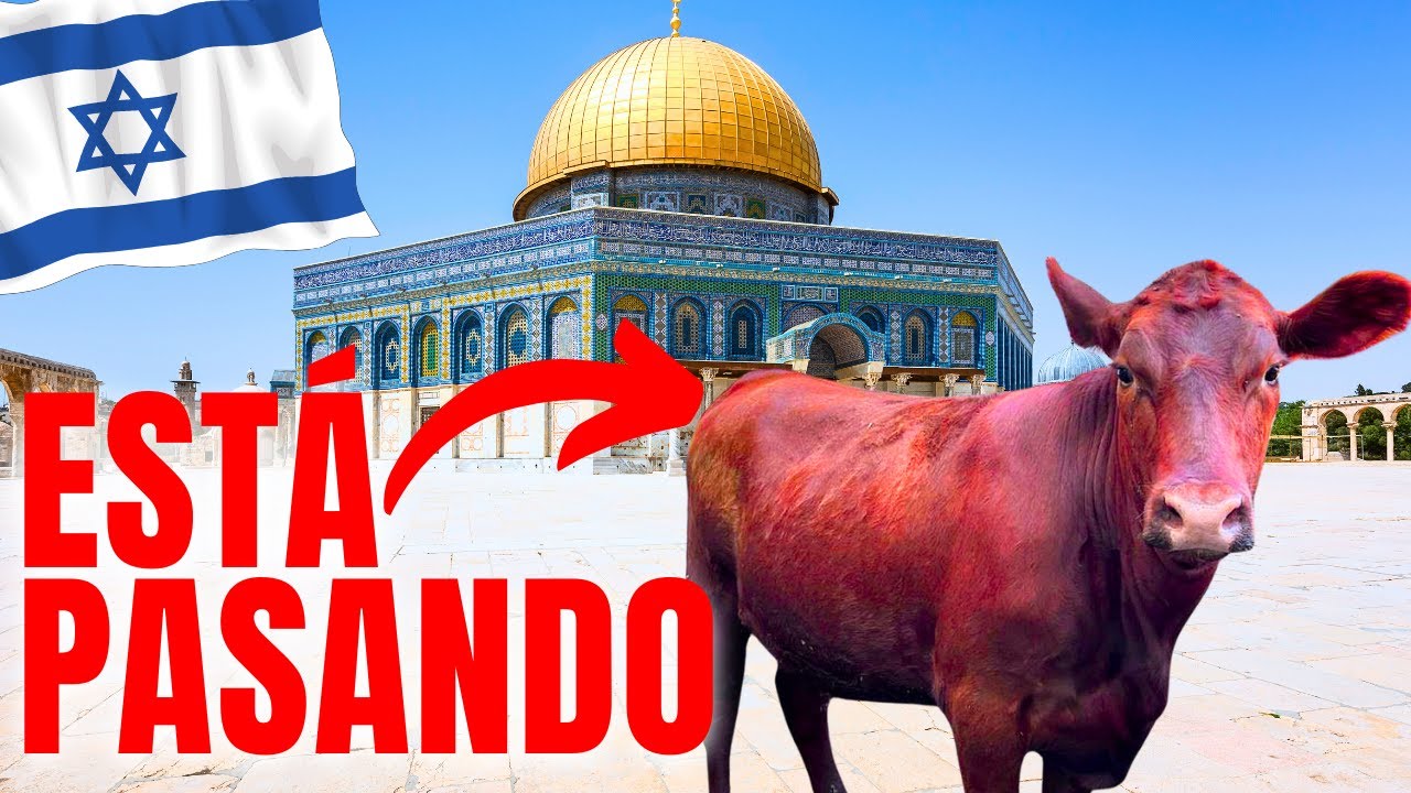 La vaca roja en la Biblia: significado profundo