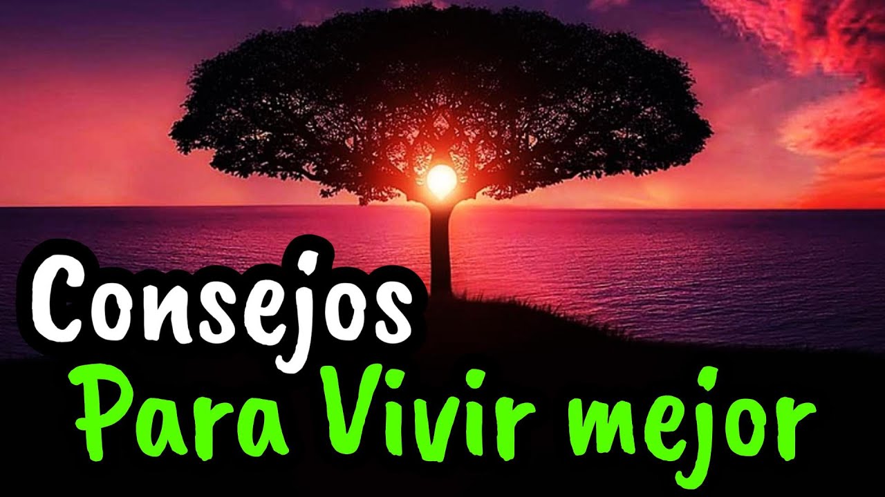 Reflexiones bíblicas para vivir una vida plena y en armonía con Dios