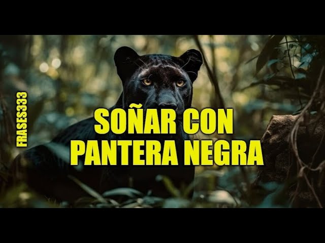 Significado de la pantera negra en la Biblia