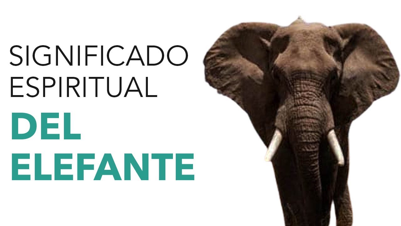 Significado espiritual del elefante en la Biblia