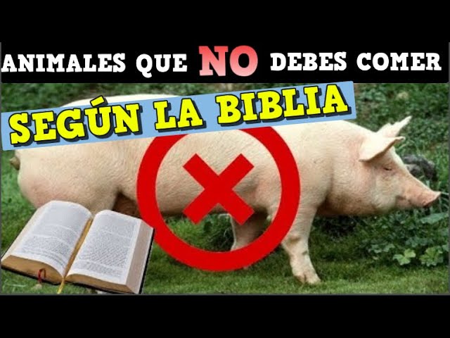 Descubre qué animales son considerados inmundos según la Biblia